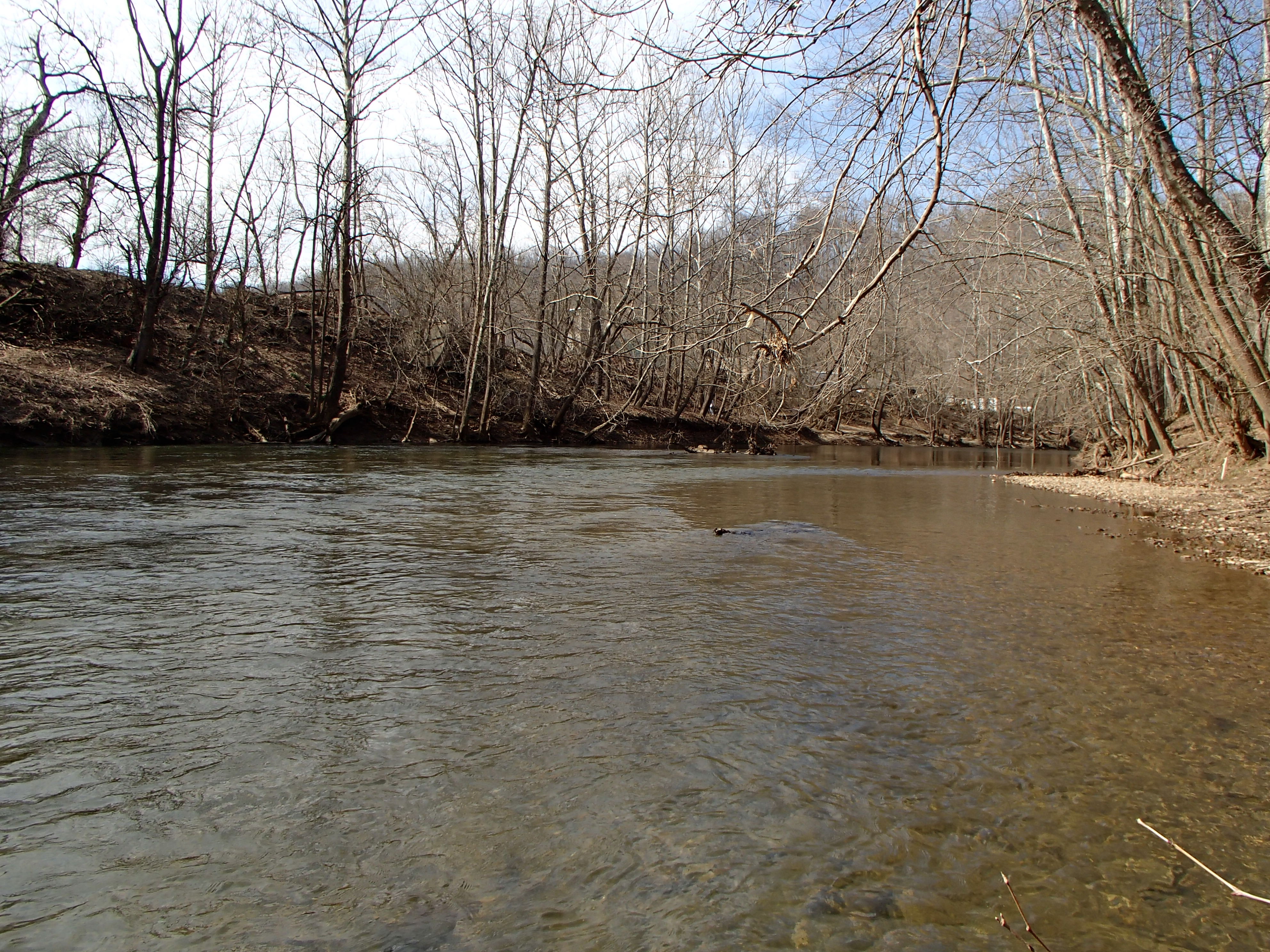 Field photo showing stream conditions at site PATL-517-X-2016_midpoint looking upstream